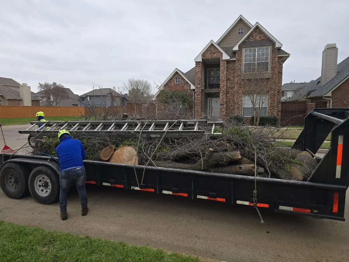 Expert Tree Fertilization with proper safety equipment in Dillonvale